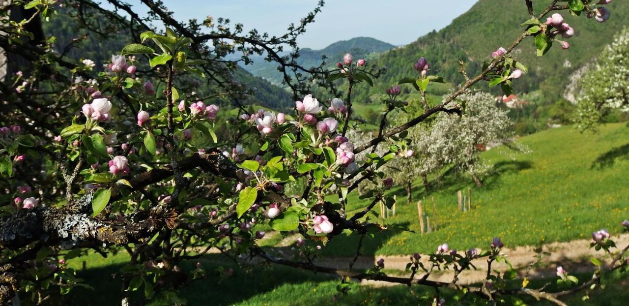 체르크노 Kmetija Na Cendavs 아파트 외부 사진